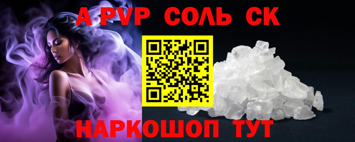 A PVP СК Гатчина