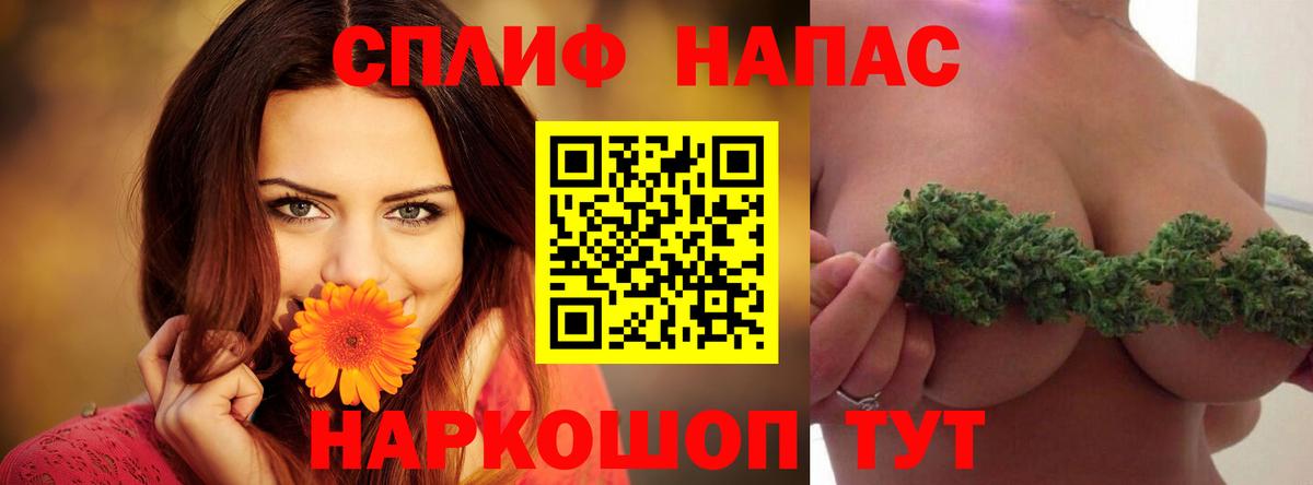 Конопля планчик Гатчина