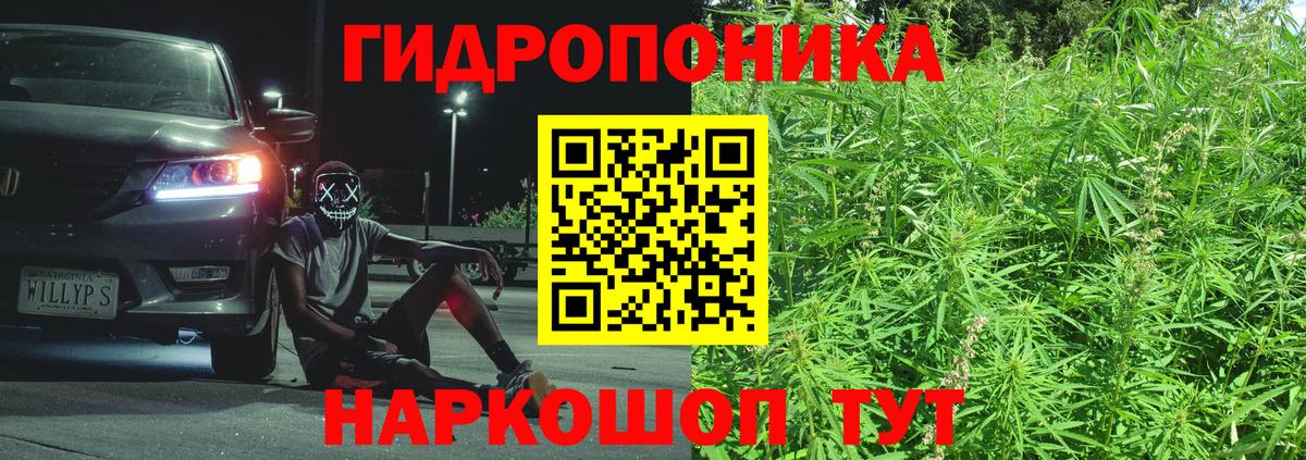 Бошки марихуана индика  Конопля конопля  МАРИХУАНА VHQ  Вход с VPN  Конопля LSD WEED  Гатчина 